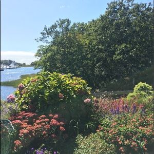 Meet your Posher, Patricia